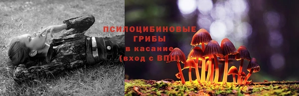 крисы Балабаново
